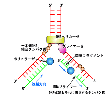 分子コンピュータ