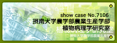 No.7106 摂南大学農学部 農業生産学部 植物病理学研究室