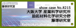 No.8215 大阪大学産業科学研究所励起材料化学研究分野 藤塚研究室