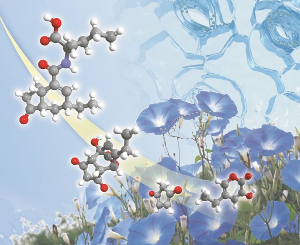 Organic & Biomolecular Chemistry 2009, Vol.7, Iss.15