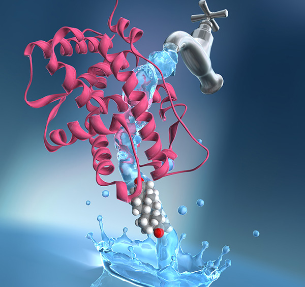 Journal of Chemical Information and Modeling