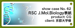 No. 62　RSC Molecular Biosystemsカバーピクチャー