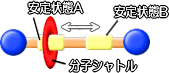 ロタキサンのスイッチとしてのモデル図