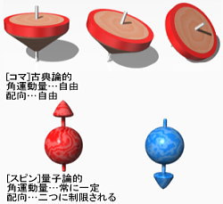 図.コマとスピンの違い