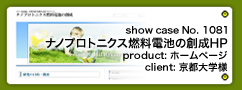 No.1081 ナノプロトニクス燃料電池の創成 JSPS　最先端・次世代研究開発支援プログラム