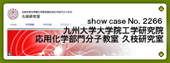 No.2266 九州大学大学院工学研究院 応用化学部門分子教室 久枝研究室