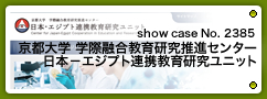 No.2385 京都大学 学際融合教育研究推進センター 日本－エジプト連携教育研究ユニット