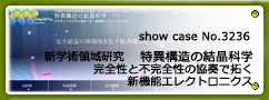 No.3236新学術領域研究 特異構造の結晶科学