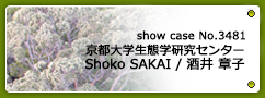No.3481 京都大学生態学研究センター 酒井章子先生