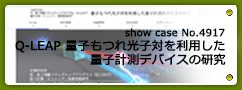 No.4917 Q-LEAP 量子もつれ光子対を利用した量子計測デバイスの研究